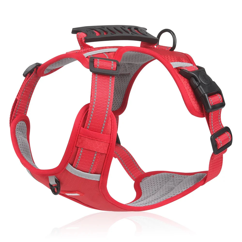 🐶【5–30 kg】Postroj pre psov, proti ťahaniu, pre domáce zvieratá.